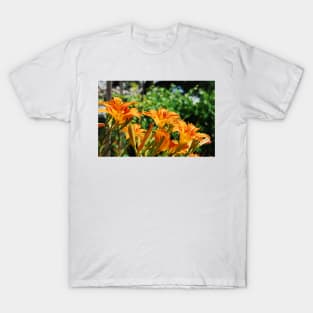 Wild Orange Lilies T-Shirt